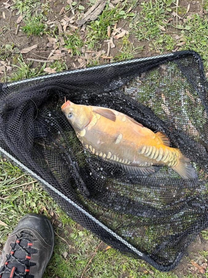 Zouw Hausboat Zakotven -Pouze Ubytovani Roudnice nad Labem Zewnętrze zdjęcie